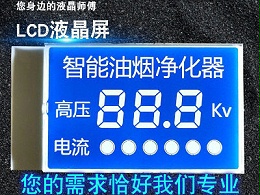 南京段码LCD液晶屏