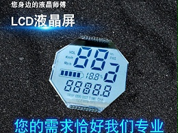 江苏段码LCD液晶屏